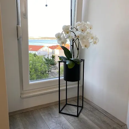 Apartment Mia