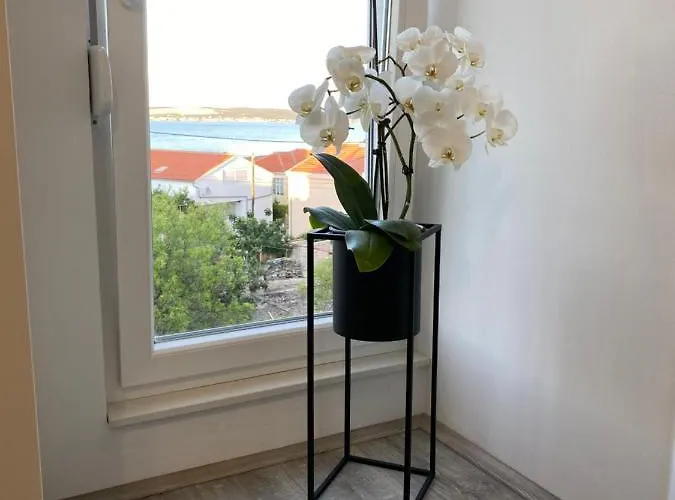 Lejlighed Mia